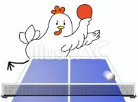 Ping-pong.jpg